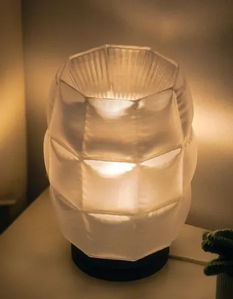 PETG Transparent printed part 4: Light guides